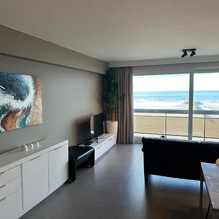 Volledig Gerenoveerd Appartement Voor Zes Personen Met Frontaal Zeezicht Op De Zeedijk Van Westende شقة